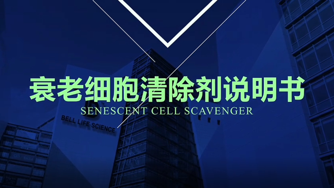 BELL衰老细胞清除剂